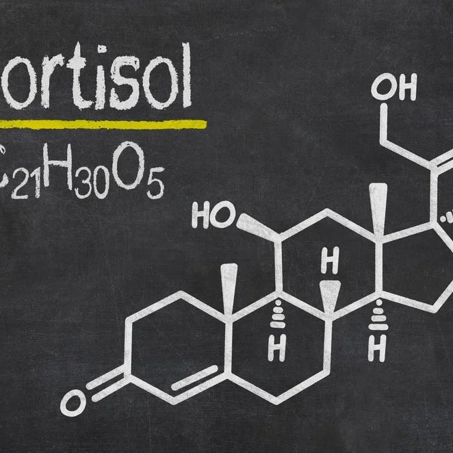 Cortisol: How if Affects Muscle Growth