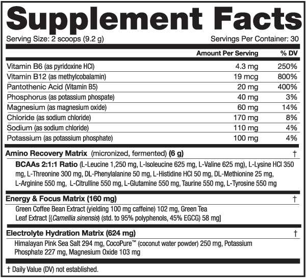 NutraBio Amino Acids NutraBio Amino Kick 30 Servings