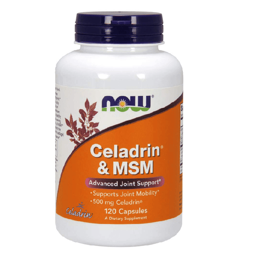 Now Foods Joint Aid Default NF CELADRIN & MSM 500mg 120C