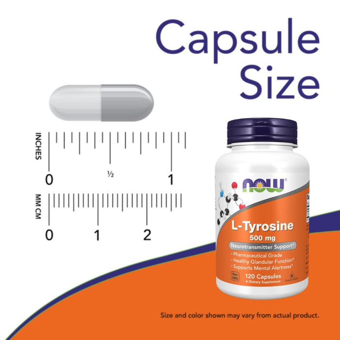 Now Foods Sports Nutrition & More Now Foods L-Tyrosine 500mg 120 Capsules