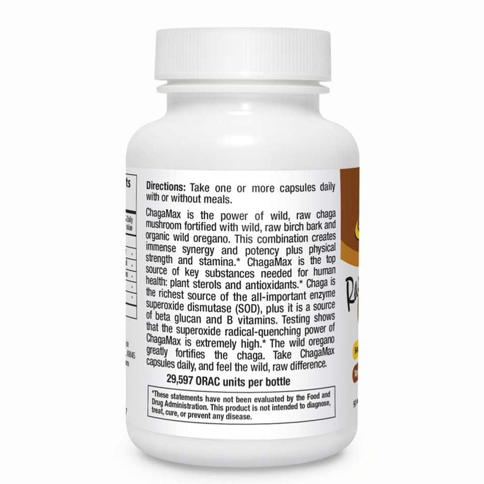 North American Herb & Spice Vitamins, Minerals, Herbs & More North American Herb & Spice ChagaMax 90 Capsules