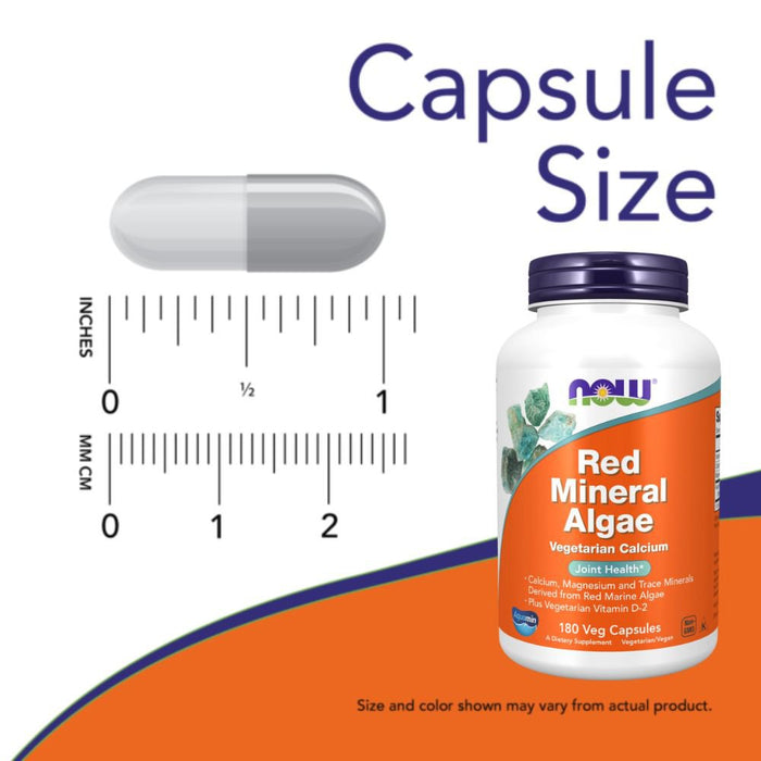 Now Foods Vitamins, Minerals, Herbs & More Now Foods Red Mineral Algae 180 Capsules