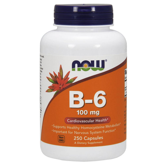 Now Foods Vitamins, Minerals, Herbs & More Now Foods B-6 100 Mg 250 Capsules (582153469996)